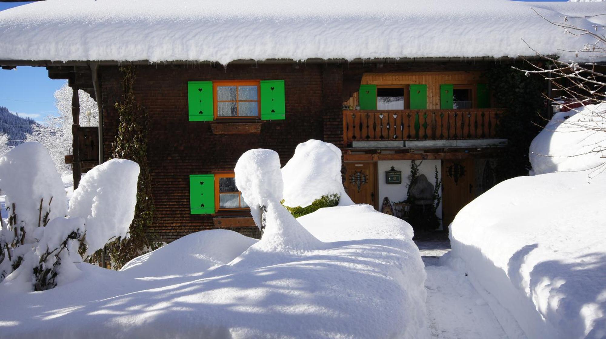 Haus Aelpele Apartment Klosterle am Arlberg Exterior foto